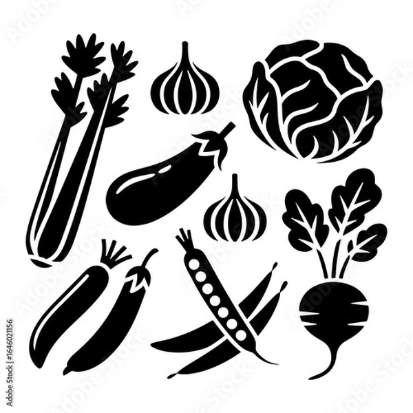 Fototapeta Fresh vegetables collection including celery eggplant cabbage garlic peas and beet vector