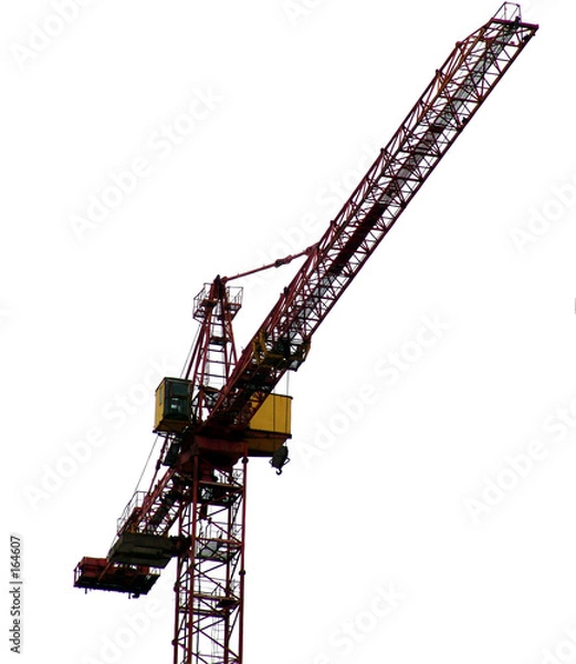Obraz crane