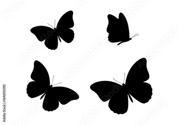Obraz Four butterfly silhouettes arranged symmetrically against a bright plain artwork design element illustration