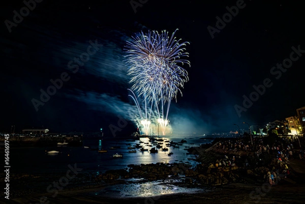 Obraz fireworks over the sea