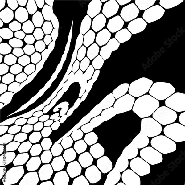 Fototapeta Wavy hexagon pattern, distorted perspective, optical illusion effect
