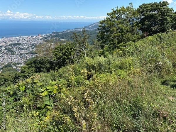 Obraz 小樽市内の天狗山展望台