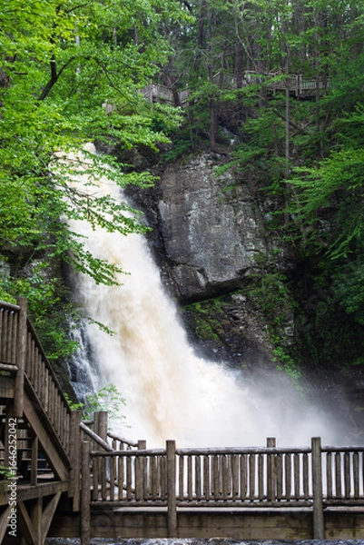 Fototapeta The rushing waters of Main Falls after significant springtime rain at Bushkill Falls, Pennsylvania.