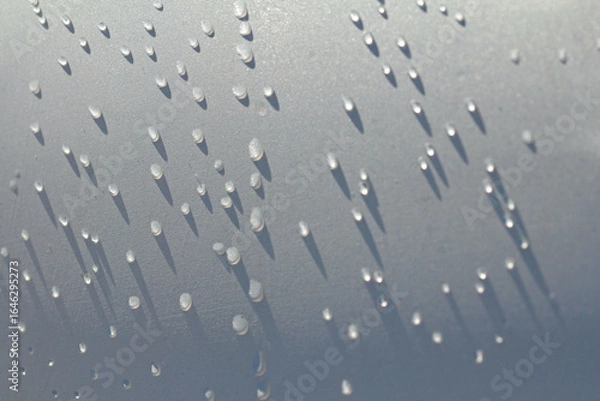 Fototapeta rain drops on the surface
