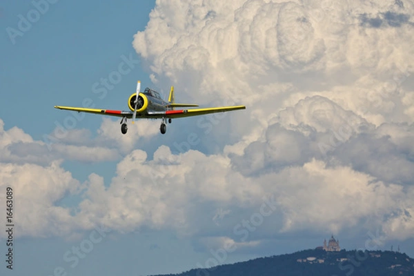 Obraz North American T-6 Texan