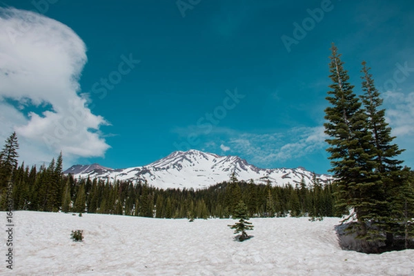 Obraz winter landscape with snow