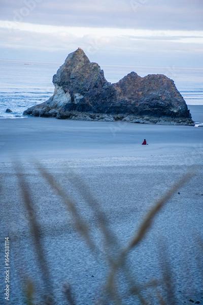 Obraz beach and rocks