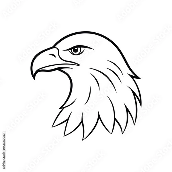 Fototapeta eagle head vector illustration