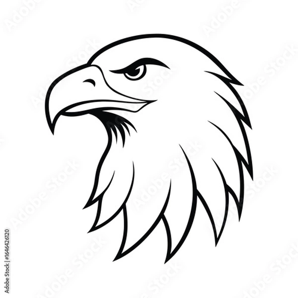 Fototapeta eagle head vector illustration