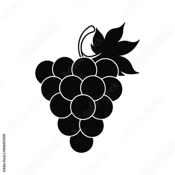 Obraz grapes vector illustration