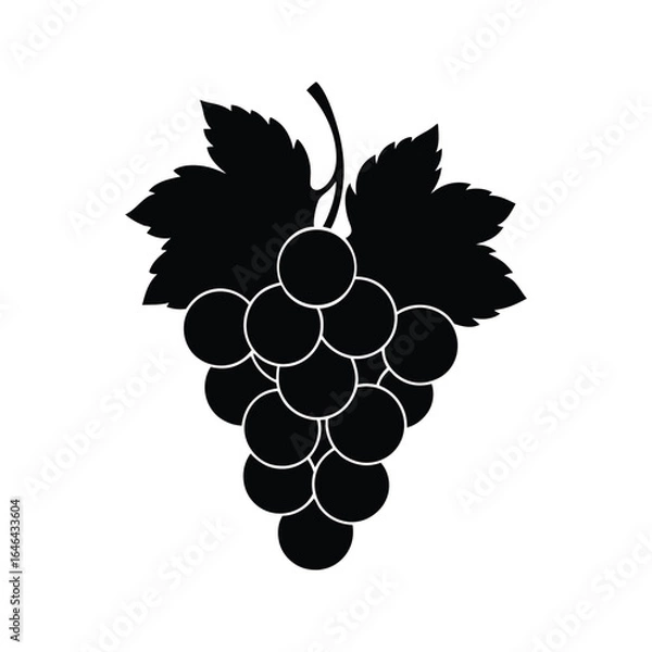 Fototapeta grapes vector illustration