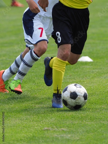 Fototapeta サッカー　フットボール