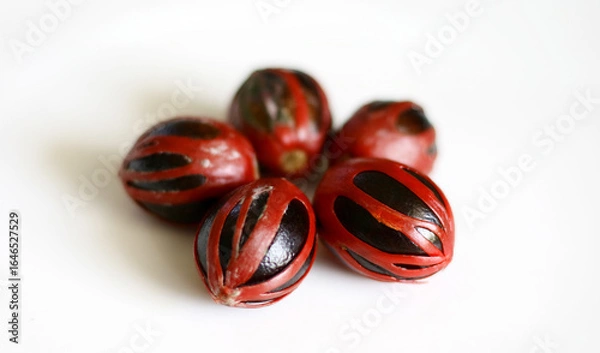 Obraz Nutmeg seeds on a white background.