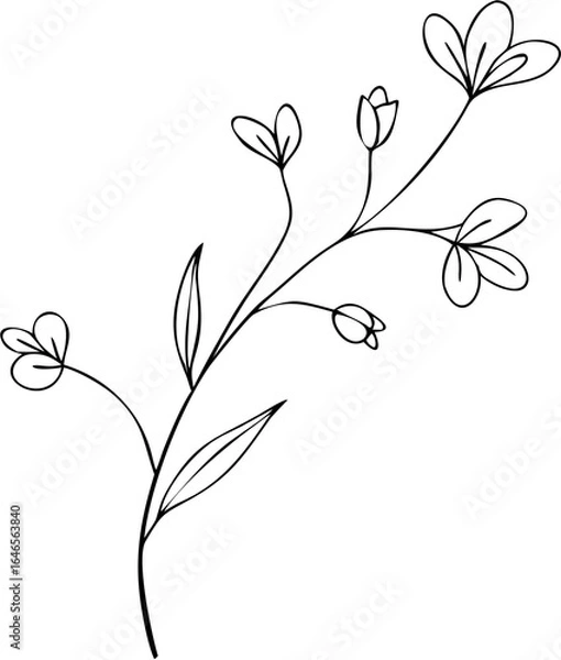 Obraz Minimal continuous-line botanical stem with leaves and small flowers, elegant black outline floral drawing, modern vector EPS isolated on white