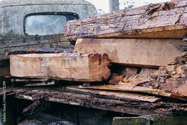 Fototapeta Stacked logs on an old truck in a forest setting during a cloudy day