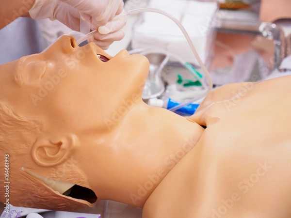 Fototapeta Close-up side shot of a physician practicing the placement of a nasogastric (NG) tube on a plastic dummy. Healthcare and medical education concept.