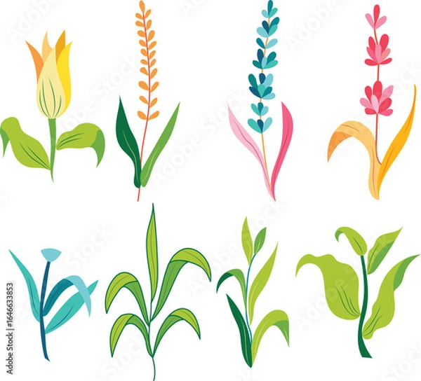 Fototapeta Beautiful colorful floral collection with  flowers, leaves, floral bouquets, flower compositions.Illustration of nature spring and summer in garden.