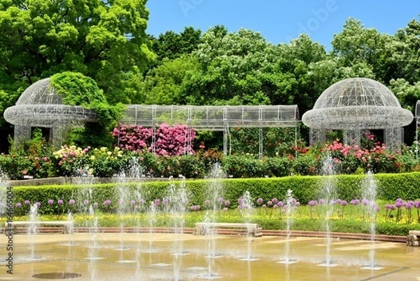 Fototapeta フラワーガーデン