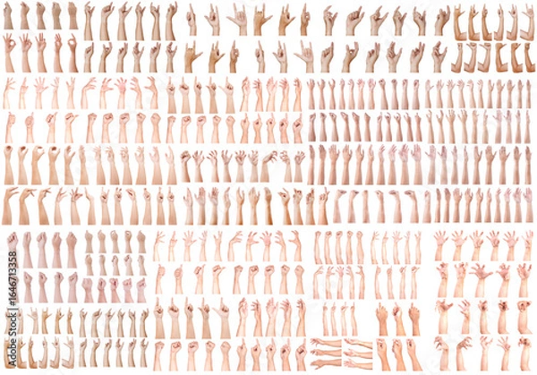 Fototapeta SUPER SET of Caucasian hand gestures isolated over the white background.