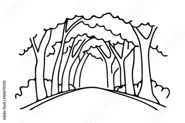 Fototapeta Path stretches under tall trees. line art flat vector illustration