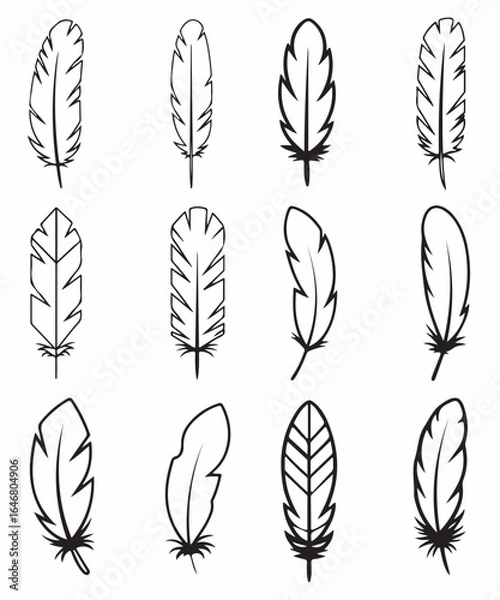 Fototapeta Minimal Feather Outline Vector Set – Modern Nature Design Collection.