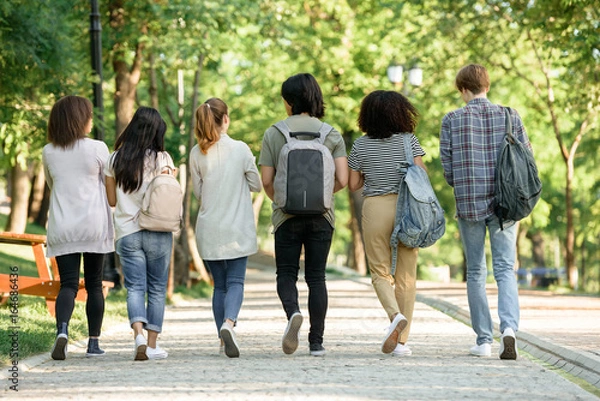 Obraz Widok z tyłu zdjęcia wieloetnicznej grupy młodych uczniów