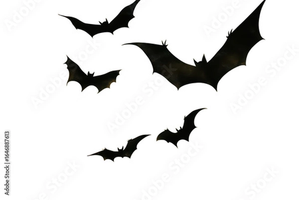 Fototapeta Five black bats flying in different directions isolated on transparent background