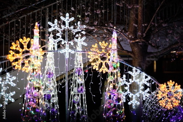 Fototapeta クリスマスのイルミネーションと四季桜