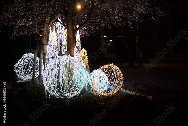 Fototapeta 四季桜の下のイルミネーション