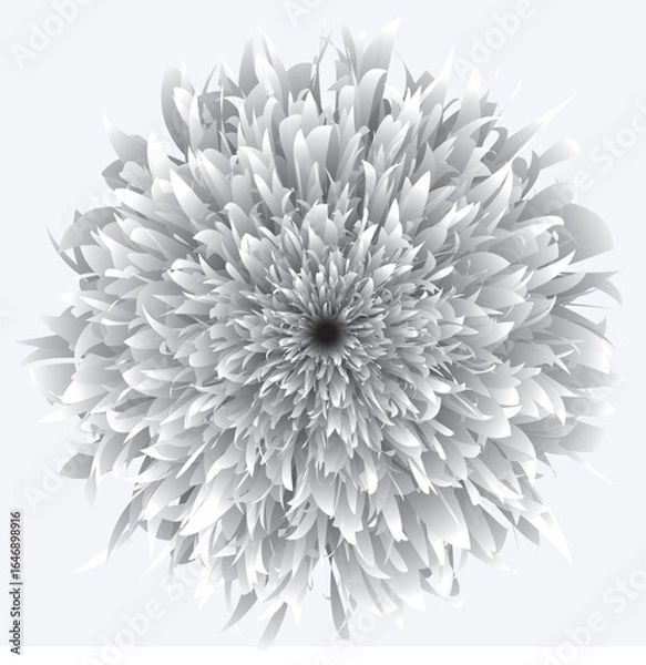 Fototapeta Peony, flower, botanical illustration, blossom, gradient, nature, abstract,
