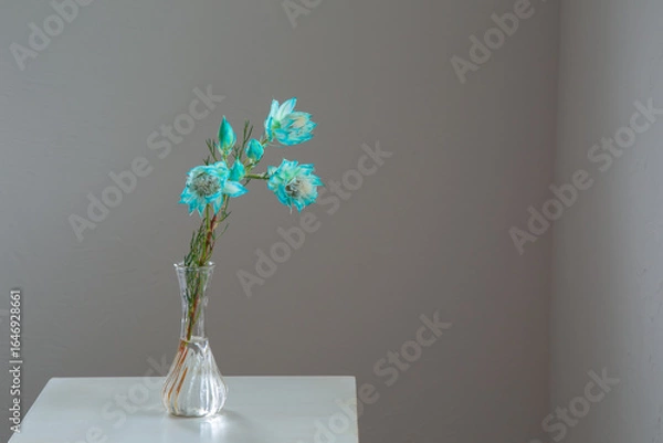 Obraz 白い部屋に置かれたセルリア