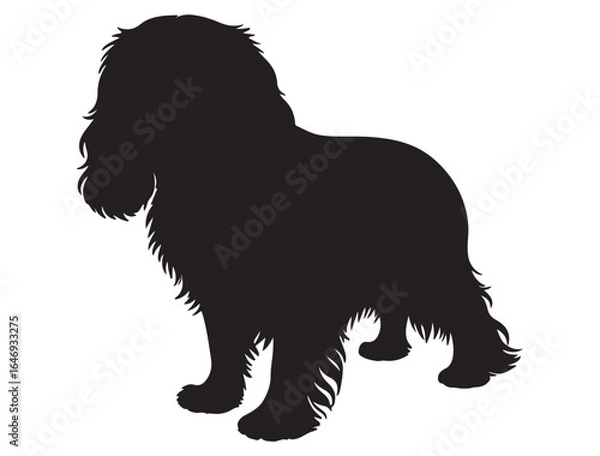 Obraz CAVALIER KING CHARLES SPANIEL DOG SILHOUETTE