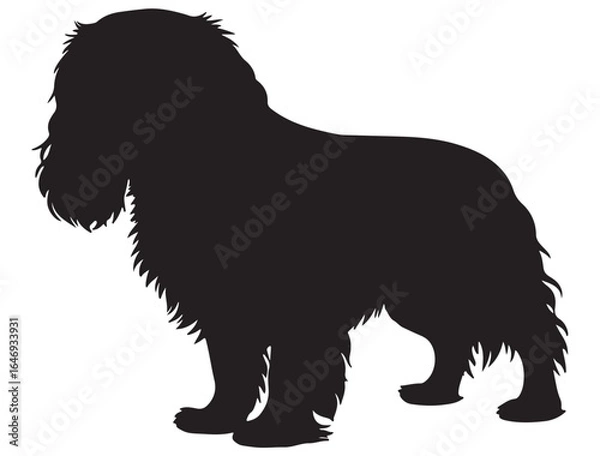 Obraz CAVALIER KING CHARLES SPANIEL DOG SILHOUETTE
