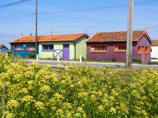 Obraz Cabanes colorées de la Baudissière, ile d'Oléron