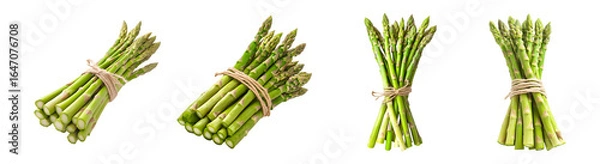 Fototapeta Set of fresh green asparagus spears bundled together isolated on transparent background, PNG format, cut out