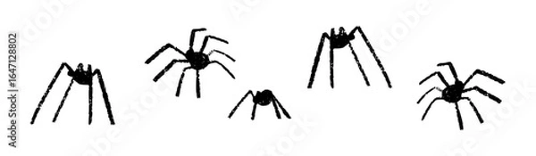 Fototapeta Black widow spider hand draw Halloween icon with realistic silhouette and web. Flat vector illustration isolated on white background.