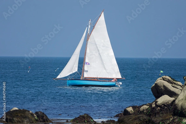 Obraz Le beau voilier