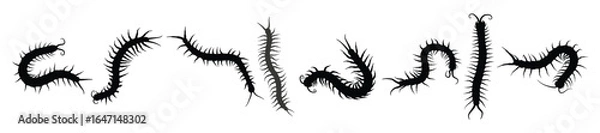 Fototapeta centipede silhouettes illustration set