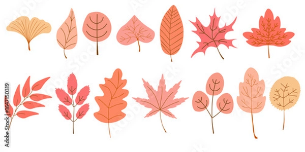 Fototapeta Set of autumn leaves in delicate shades, cozy leaf from different types of trees