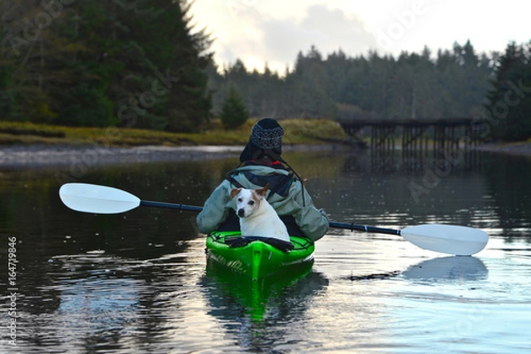 Fototapeta dog kayaking