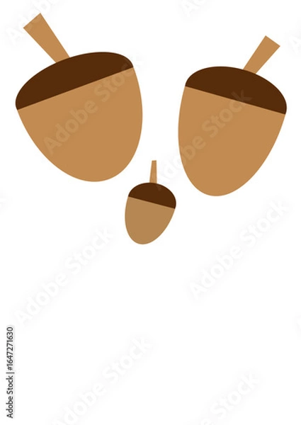 Fototapeta Eicheln für den Herbst