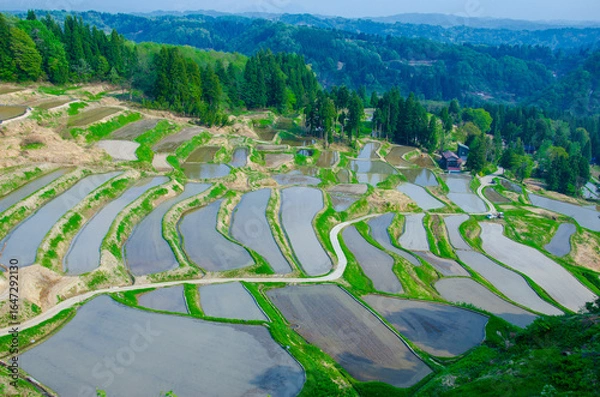 Fototapeta 　新潟県小千谷市　田植え前の外之沢の棚田