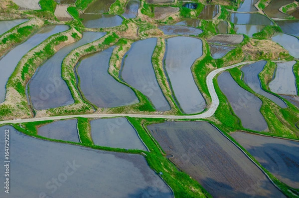 Fototapeta 新潟県小千谷市の田植え前の棚田