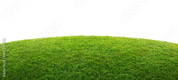 Obraz green grass field isolated on transparent background