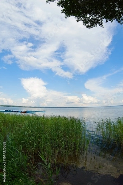 Fototapeta    Lake Narach, Belarus, July 16, 2025. Lake shore in cloudy weather.                            