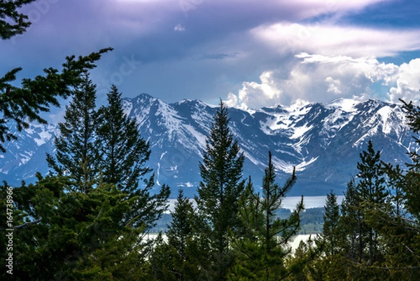 Fototapeta Mountain View through the Trees