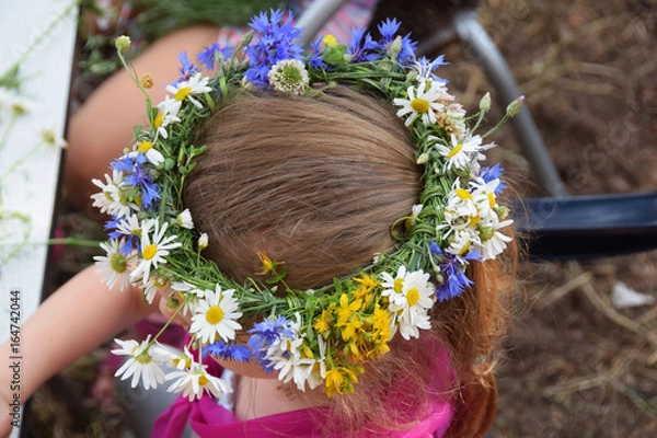Obraz Wreath of daisies on the girl's head