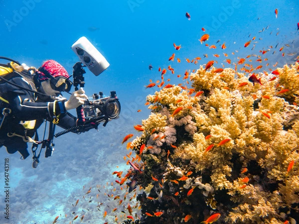 Obraz Photographing under water