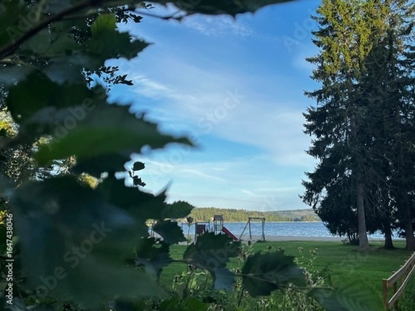 Obraz trees on the beach