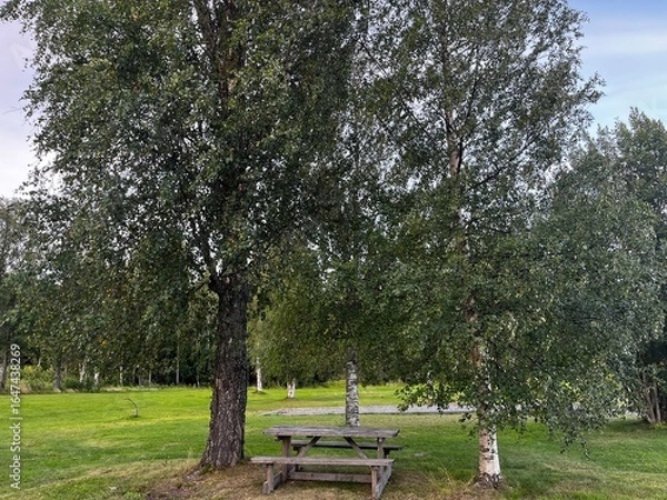 Obraz bench in the park